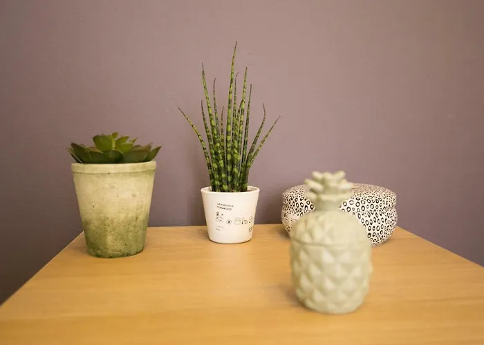 Rua Luciano Cordeiro Bhuiyan Family Host